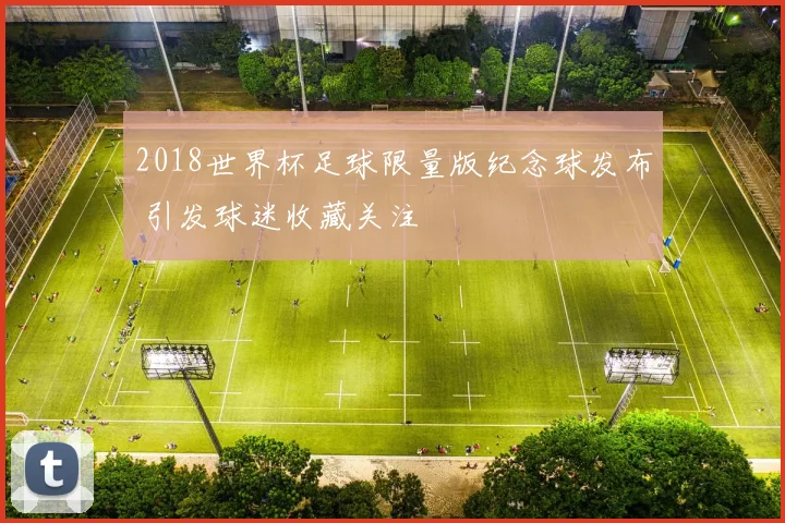 2018世界杯足球限量版纪念球发布 引发球迷收藏关注