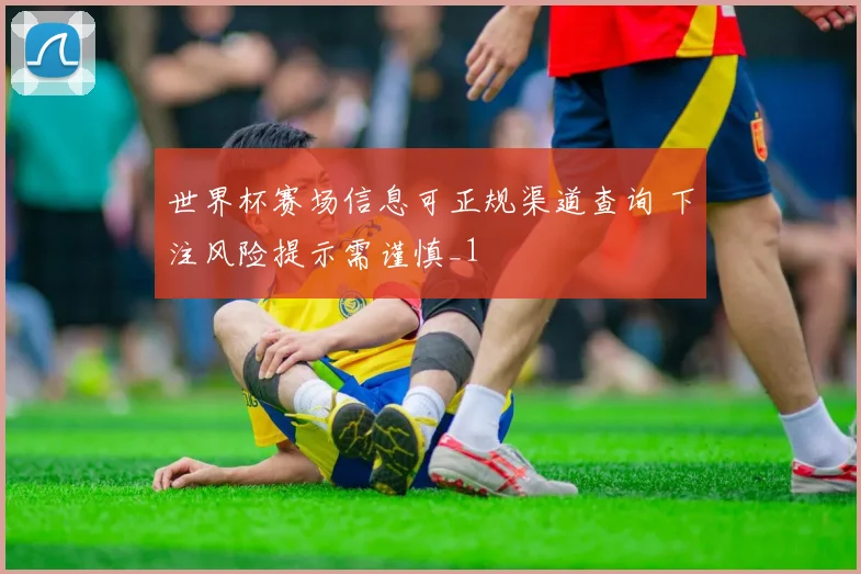 世界杯赛场信息可正规渠道查询 下注风险提示需谨慎_1