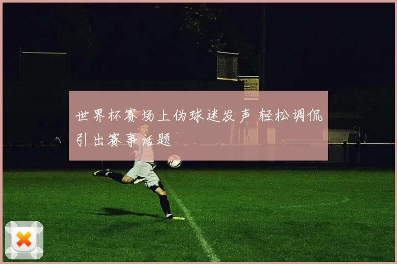 世界杯赛场上伪球迷发声 轻松调侃引出赛事话题
