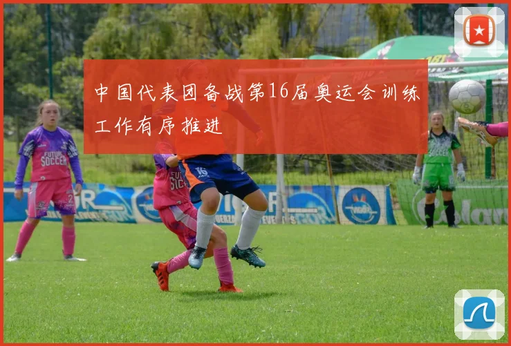 中国代表团备战第16届奥运会训练工作有序推进