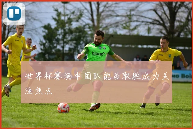 世界杯赛场中国队能否取胜成为关注焦点