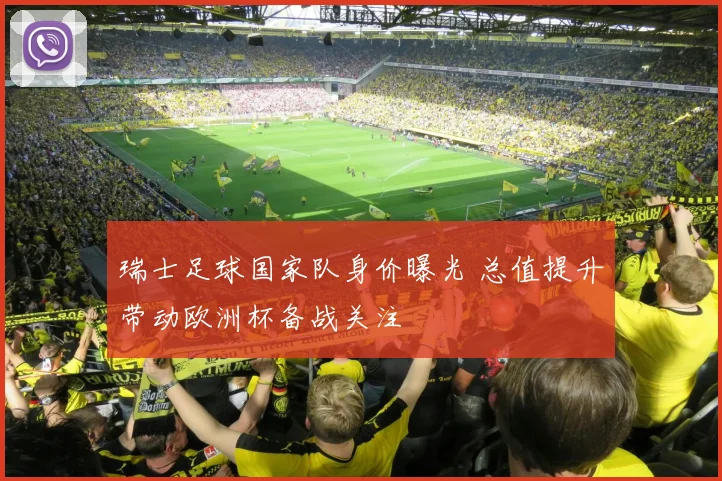 瑞士足球国家队身价曝光 总值提升带动欧洲杯备战关注