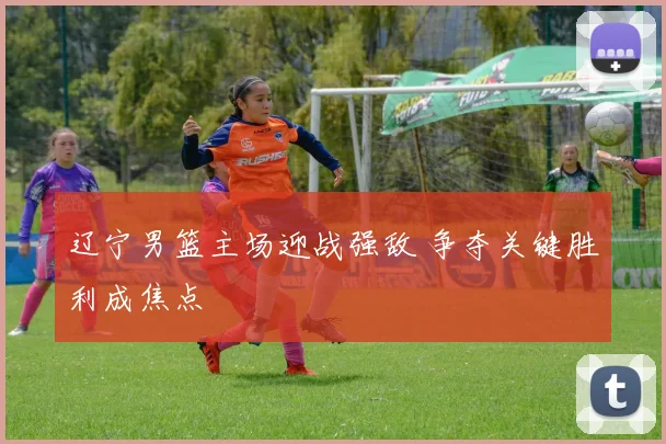 辽宁男篮主场迎战强敌 争夺关键胜利成焦点