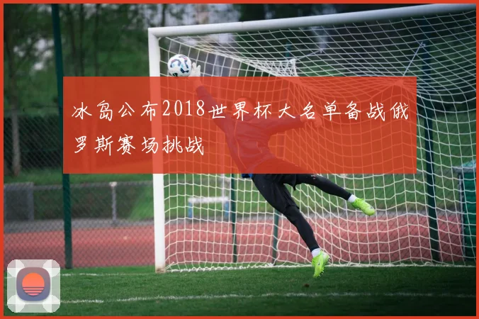 冰岛公布2018世界杯大名单备战俄罗斯赛场挑战